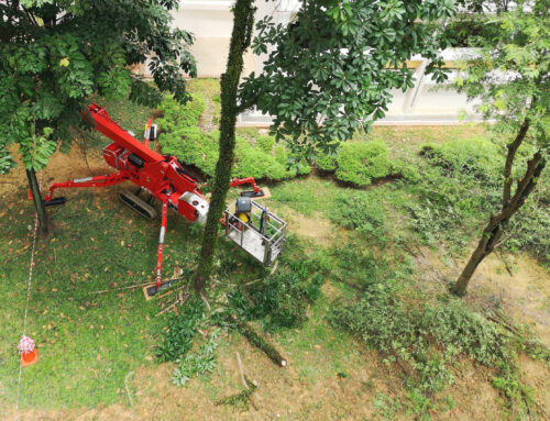 Affordable Spider Crane Hire Across Australia